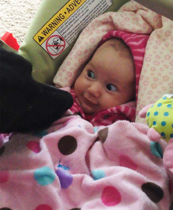 Friend's Baby Meets Her First Dog