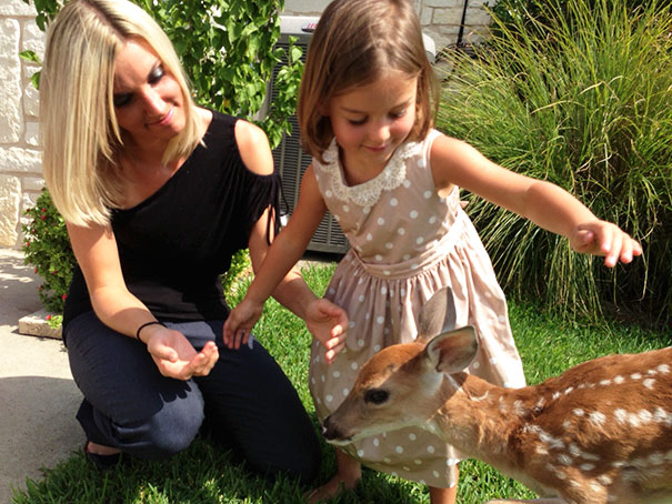 My Niece Meeting A Baby Deer For The First Time. They Wore The Same Outfit... How Embarrassing