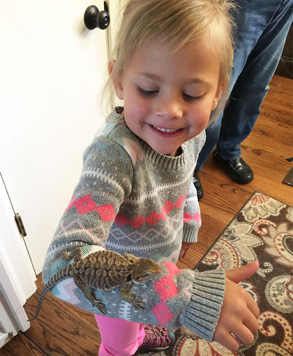 Niece Meets Bearded Dragon For First Time