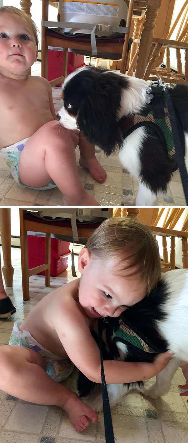 My Dog Met My Niece For The First Time Yesterday