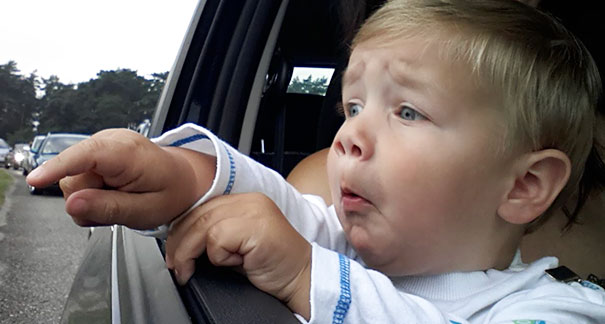 My Nephew Seeing Giraffes For The First Time