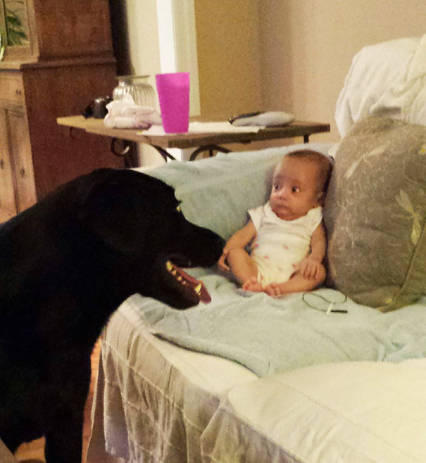 My Sister Meeting A Dog For The First Time