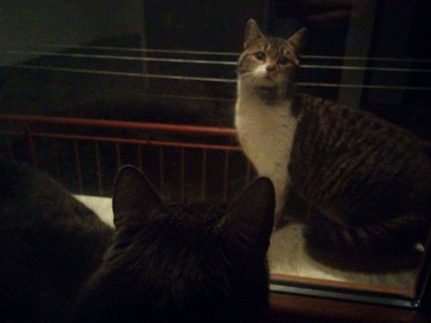 They See Each Other For The First Time