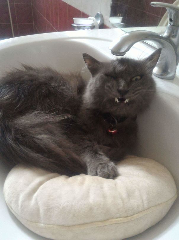 Whattt ? I Wanna Sit And Relax To This Place.