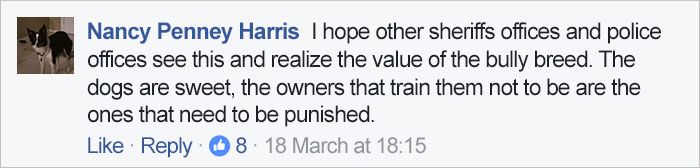 Instead Of Spending $15-$20,000 For Purebred German Shepherds, These Cops Are Getting Rescue Pit Bulls