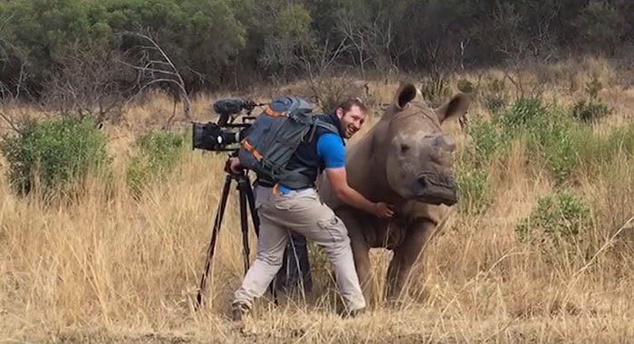 rhino-cameraman-belly-rub-south-africa-01 rhino-cameraman-belly-rub-south-africa-01