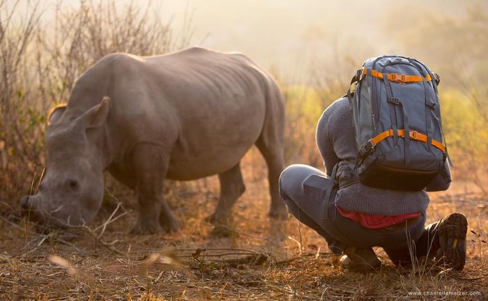 rhino-cameraman-belly-rub-south-africa-1 rhino-cameraman-belly-rub-south-africa-1