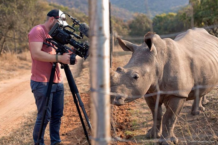 rhino-cameraman-belly-rub-south-africa-2 rhino-cameraman-belly-rub-south-africa-2