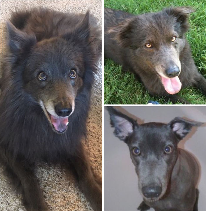 Haircut Before The Texas Heat