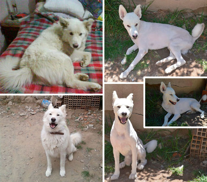 Krisstoff Younger And Funny