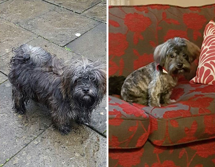 Scruffy Boy To Handsome Boy