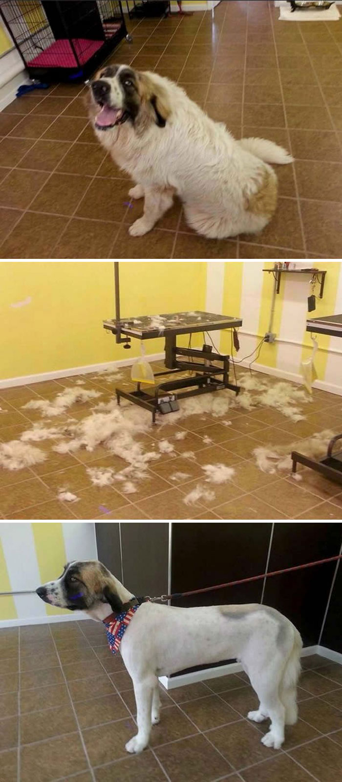 This Guy Left Half Of Him At The Hairdresser