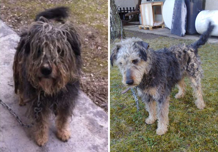 Cuvée Before And After