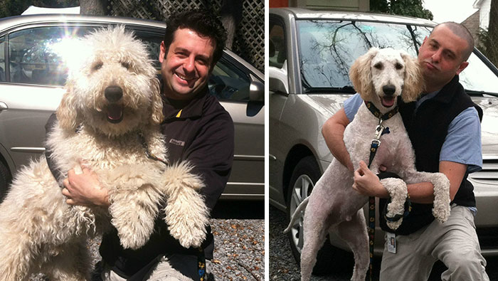 One Day Apart. Same Dog, Same Guy