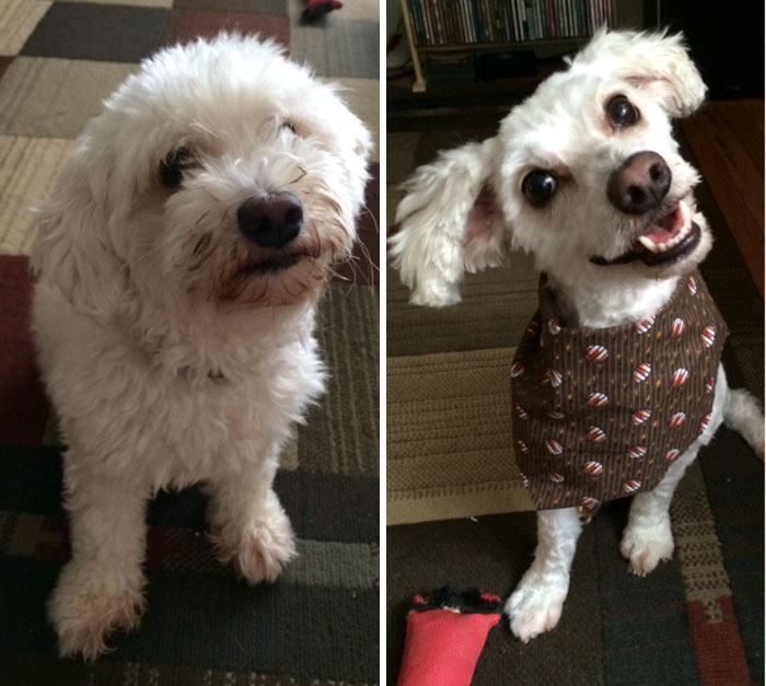 Haircut Day Is Always My Favorite Day