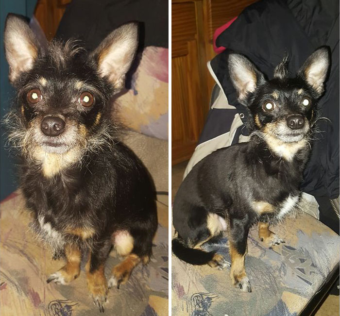 Hades - Lord Of Cuteness