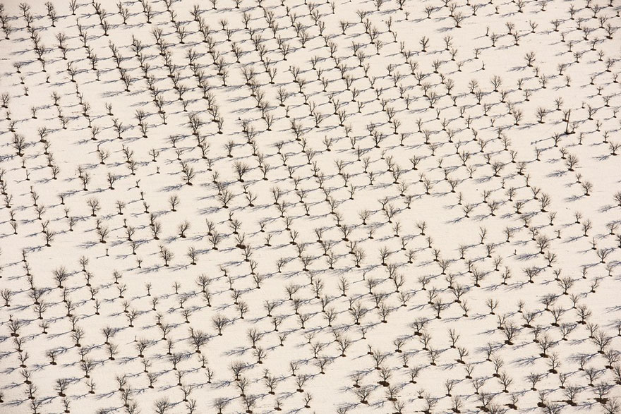 Texas Winter, The American Experience Finalist