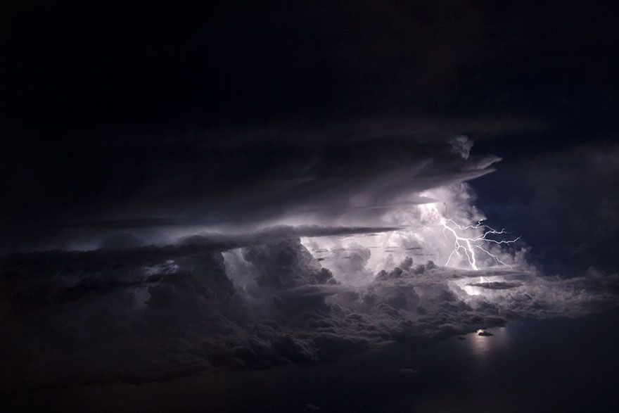 Flying, Natural World Finalist