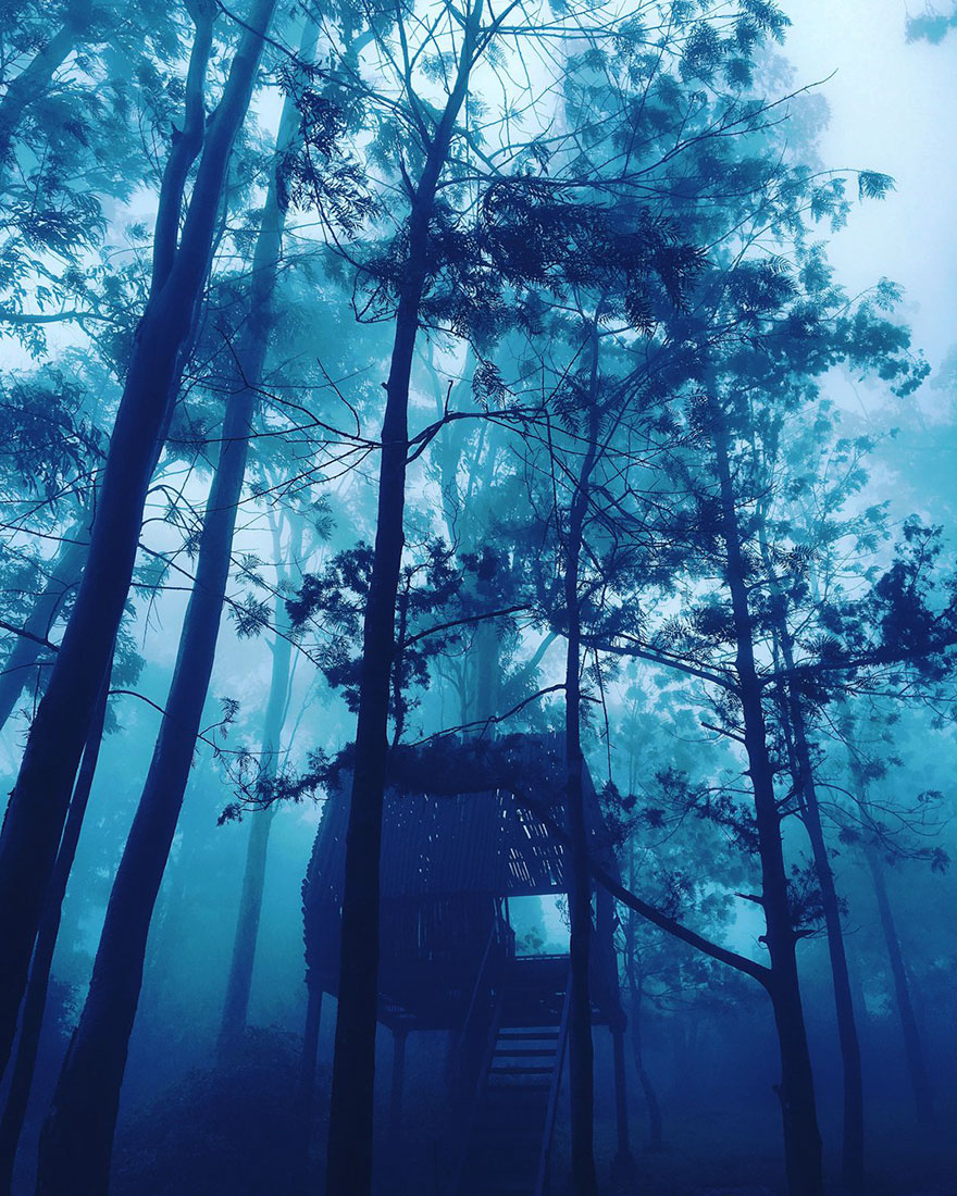 Into The Woods, Mobile Finalist