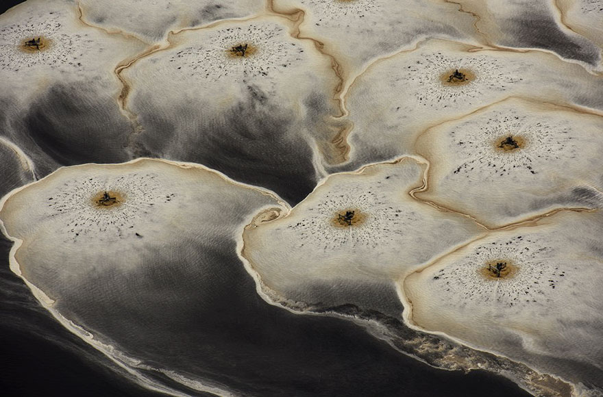 Paper Mill, The American Experience Finalist