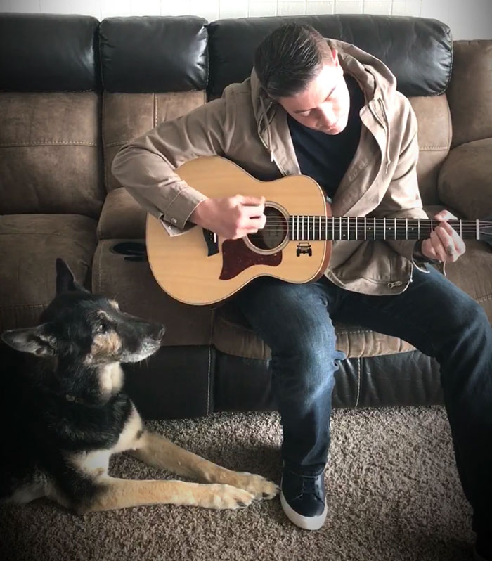 soldier-grieves-dying-dog-german-shepher-bodza-9 soldier-grieves-dying-dog-german-shepher-bodza-9