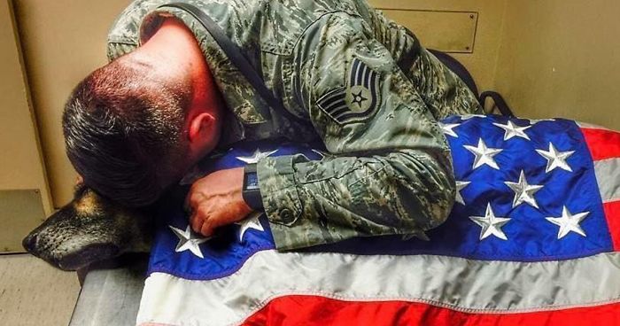 This Soldier Stayed With His Dying Dog Until His Last Breath