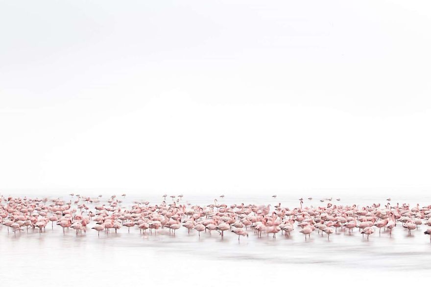 Alessandra Meniconzi, Switzeland National Award