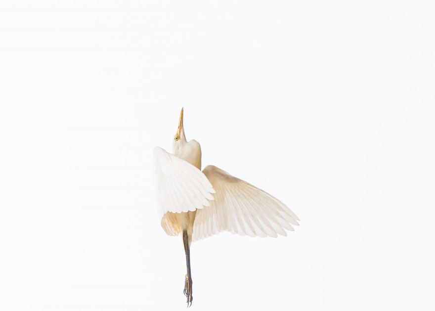 Shashanka Chitrakar, Nepal National Award