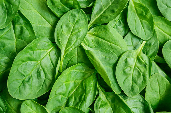 Scientists Transform Spinach Leaves Into Working Human Heart Tissue Scientists Transform Spinach Leaves Into Working Human Heart Tissue
