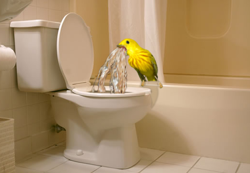 Managing The Hangover