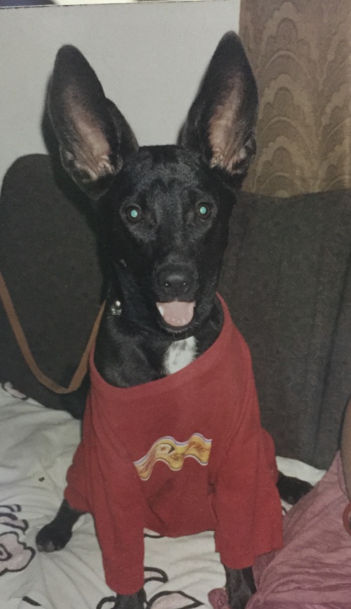 I Hate Wearing This T-shirt! Red Is Just Not My Color...but I'll Pose