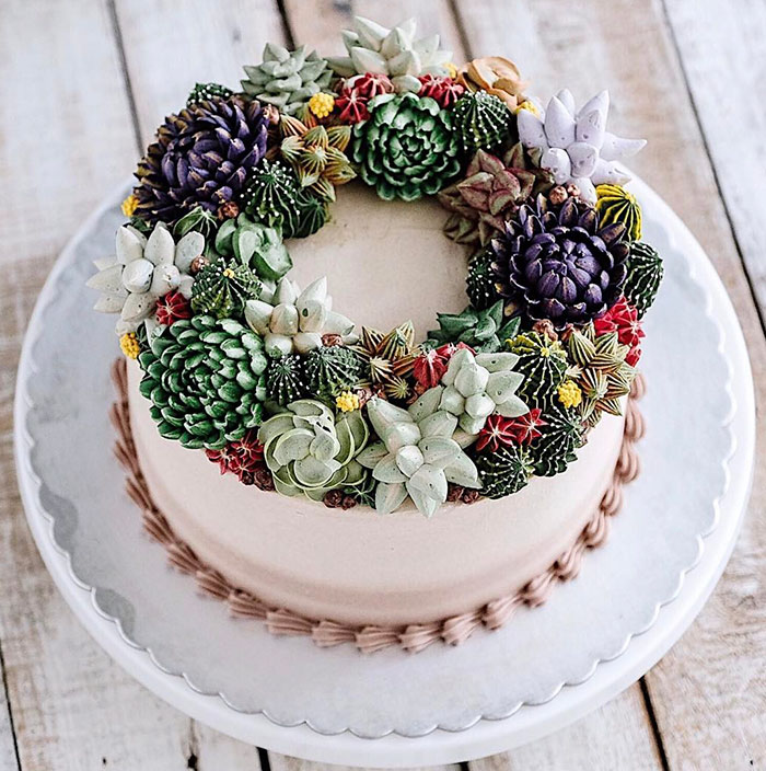 Succulent Cakes