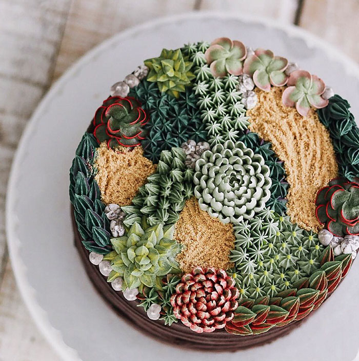 Succulent Cakes