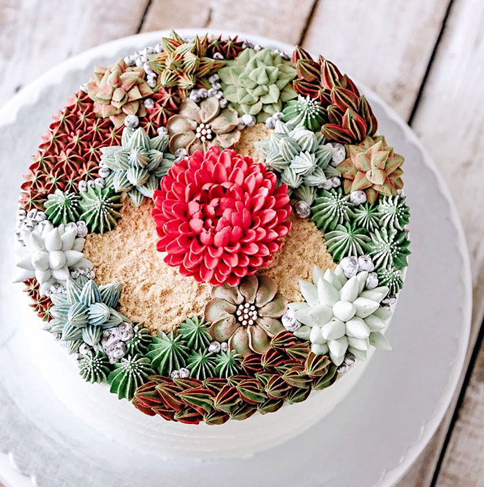 Succulent Cakes