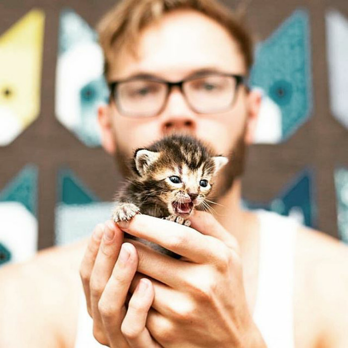 Dudes With Kittens