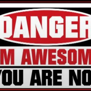 theawesomeone_1 avatar