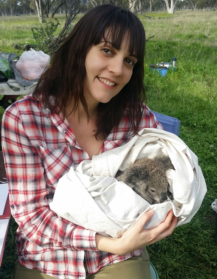 thirsty-koalas-drinking-stations-australia-3 thirsty-koalas-drinking-stations-australia-3