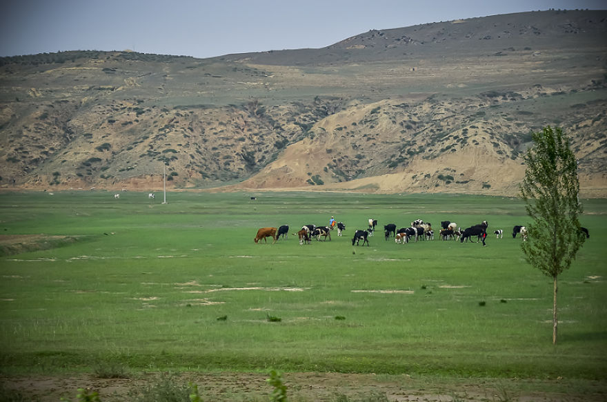 The Epic Trans-Mongolian Railway In 19 Pictures