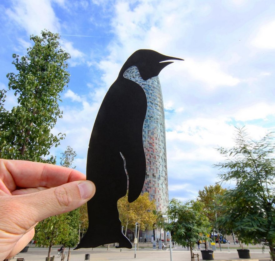 Transforming Landscapes Cut Outs