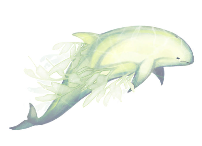 "Understeeped" Oolong Tea Spirit