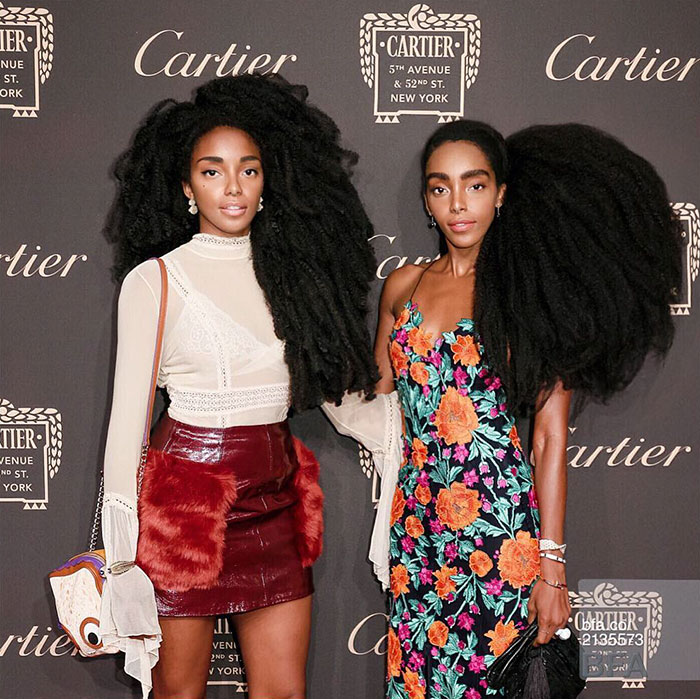 These Twin Sisters Were Ashamed Of Their Incredible Hair, But Now They Became Famous For It These Twin Sisters Were Ashamed Of Their Incredible Hair, But Now They Became Famous For It