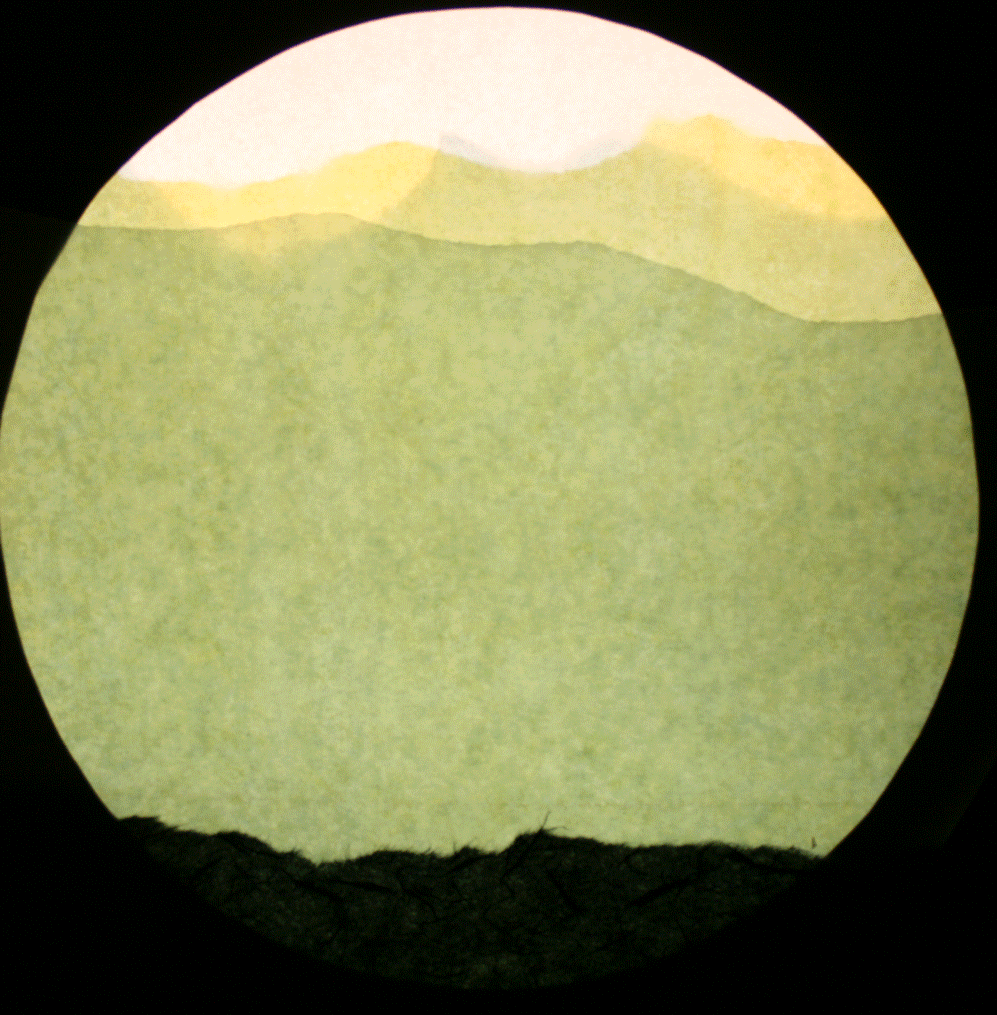 Illuminated Illustrations