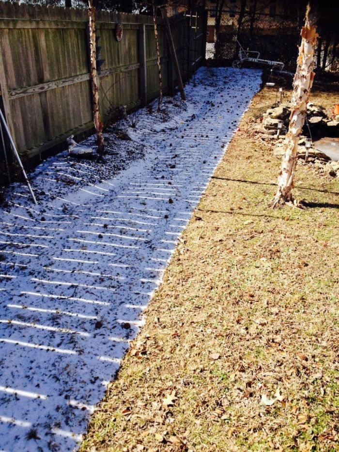 Winter Meets Spring, Russia