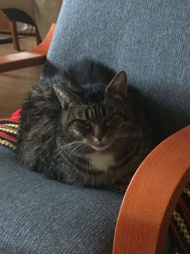 What The Flip You Looking At?