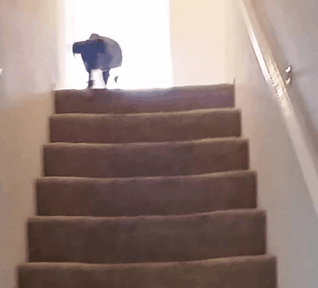 First Time Going Down Stairs