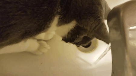 First Experience With Running Water