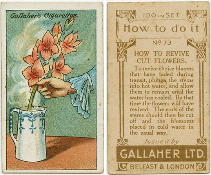 100-Year-Old Life Hacks That Are Surprisingly Useful Today