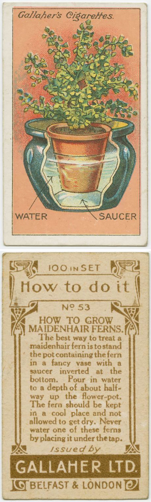 Vintage-100-year-old-life-hacks