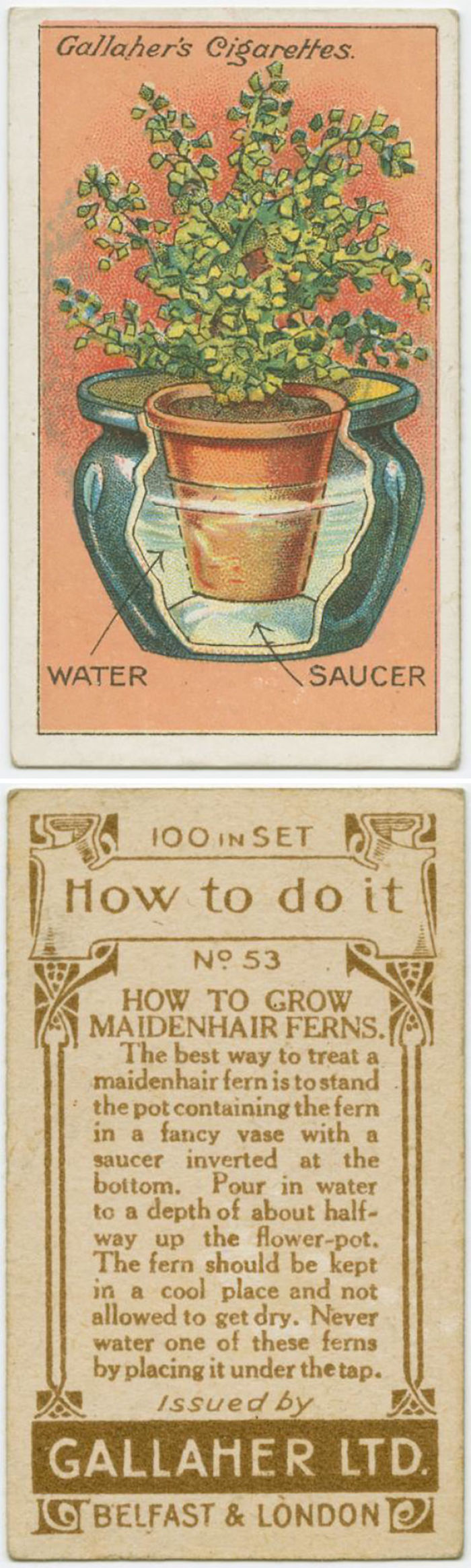100-Year-Old Life Hacks That Are Surprisingly Useful Today