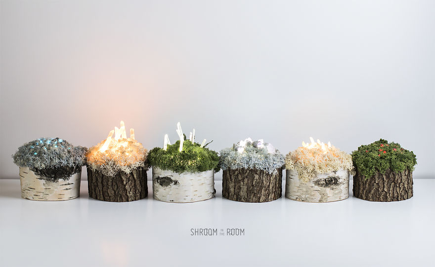 We Make Unique Lamps From Real Crystals And Moss